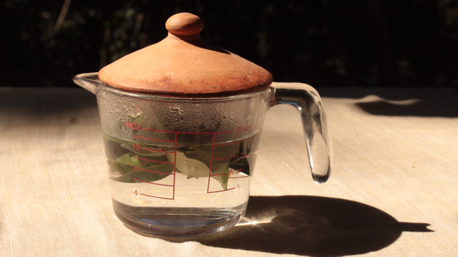 Infusión de hojas en una jarra de vidrio con tapa de barro, al sol